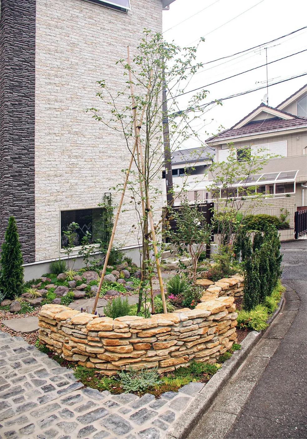 エントランス横に今後シンボリックとなる植栽を施工